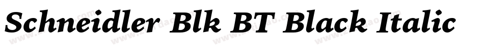 Schneidler Blk BT Black Italic字体转换